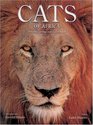 Cats of Africa Behavior Ecology and Conservation
