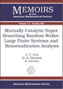 Mutually Catalytic Super Branching Random Walks Large Finite Systems And Renormalization Analysis