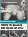 Clipping and Grooming Your Spaniel and Setter