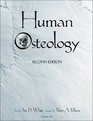 Human Osteology