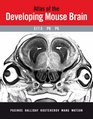 Atlas of the Developing Mouse Brain at E175 P0 and P6