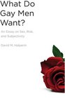 What Do Gay Men Want An Essay on Sex Risk and Subjectivity