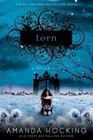 Torn (Trylle, Bk 2)