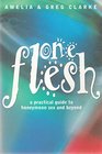One Flesh A Practical Guide to Honeymoon Sex and Beyond