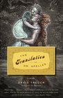 The Translation of Dr Apelles