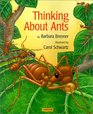 Thinking About Ants