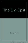 The Big Split