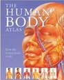 The Human Body Atlas