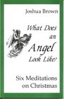 What Does an Angel Look Like Six Meditations for Christmas