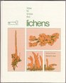How to know the lichens