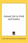 Animal Life in Field And Garden