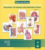 Interactions Exploring the Functions of the Human Body  Regulation The Nervous and Endocrine Systems