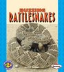 Buzzing Rattlesnakes