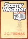 Stormy weather Crosslights on the nineteen thirties  an informal social history of the United States 19291941