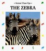 The Zebra Striped Horse
