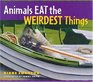 Animals Eat the Weirdest Things
