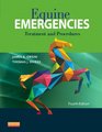 Equine Emergencies Treatment and Procedures