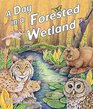 A Day in a Forested Wetland
