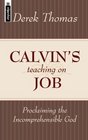 Calvin's Teaching On Job