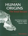 Human Origins  The Fossil Record