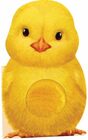 Furry Chick A Mini Touch and Feel Book for Baby and Toddler