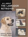 All About the Labrador Retriever