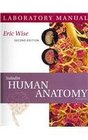 Laboratory Manual to accompany Saladins Human Anatomy