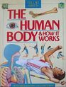 The Human Body and How It Works