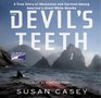 Devil's Teeth a true story of survival and obsession among America's great white sharks