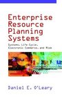 Enterprise Resource Planning Systems Systems Life Cycle Electronic Commerce and Risk