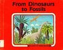 From Dinosaurs to Fossils