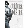 The Culture of Desire Paradox and Perversity in Gay Lives Today