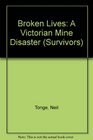 Broken Lives A Victorian Mine Disaster