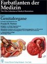 Farbatlanten der Medizin Bd3 Genitalorgane