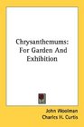 Chrysanthemums For Garden And Exhibition