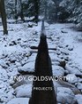 Andy Goldsworthy Projects