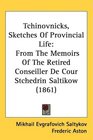 Tchinovnicks Sketches Of Provincial Life From The Memoirs Of The Retired Conseiller De Cour Stchedrin Saltikow