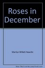 Roses in December