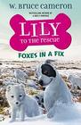 Lily to the Rescue Foxes in a Fix