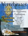 Vertebrates Comparative Anatomy Function Evolution