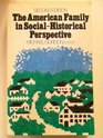 The American Family in SocialHistorical Perspective