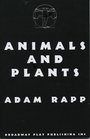 Animals and Plants