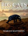 BIG CATS LOOSE IN BRITAIN