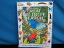 The Great Wildlife Search