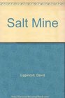 Salt Mine