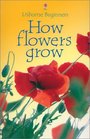 How Flowers Grow (Beginners)