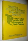 Index to illustrations of the natural world Where to find pictures of the living things of North America
