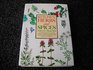 Kitchen Herbs and Spices A Comprehensive Colour Guide to Growing and Using More Than 100 Varieties of Herbs and Spices