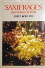 Saxifrages and Related Genera