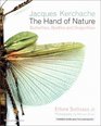 The Hand of Nature Butterflies Beetles and Dragonflies